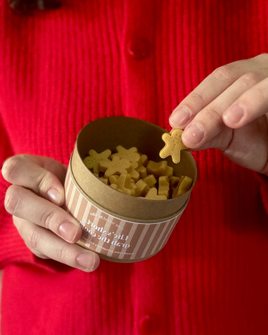 Christmas Wax Melt Discovery Box