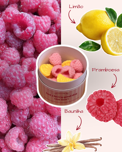 Wax Melts "Just a berry good day (for now)"