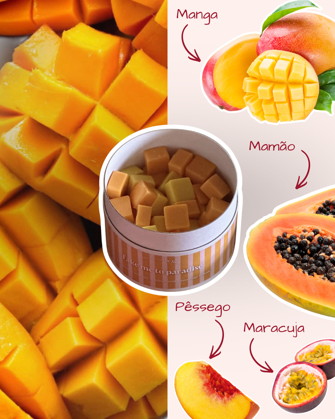 Wax Melts "Take me to paradise"