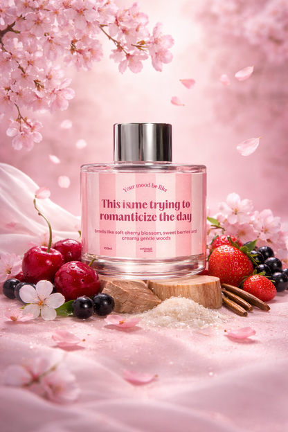 Difusor Mikado 100ml "This is me trying to romanticize the day"