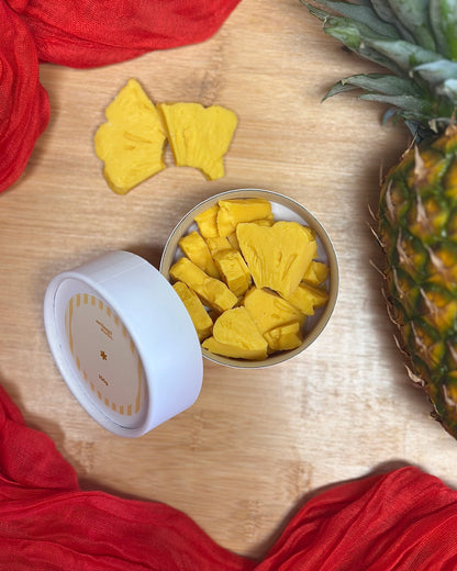 Wax Melts "Hot Girl Summer"