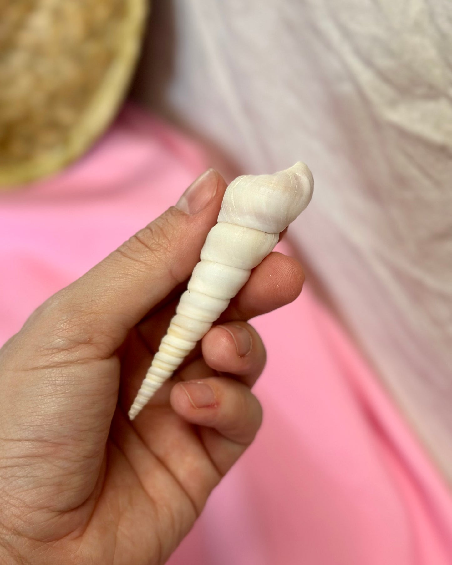 Wax Melts "Mentally I'm on an island with no WI-FI"