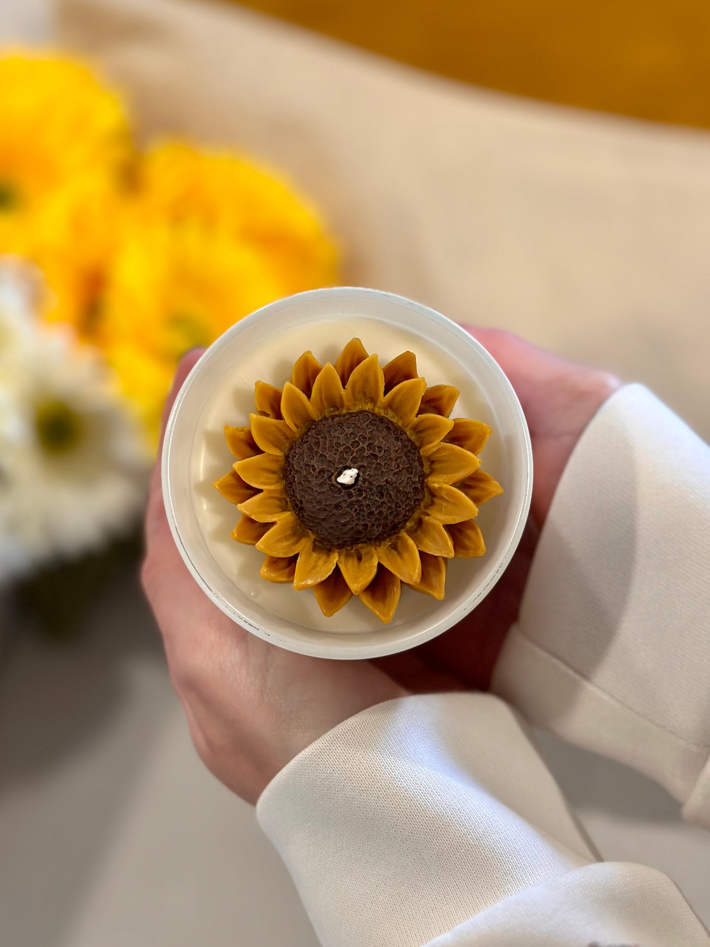 Vela "The sun showed up and so did I"