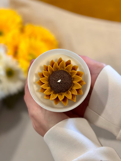 Vela "The sun showed up and so did I"