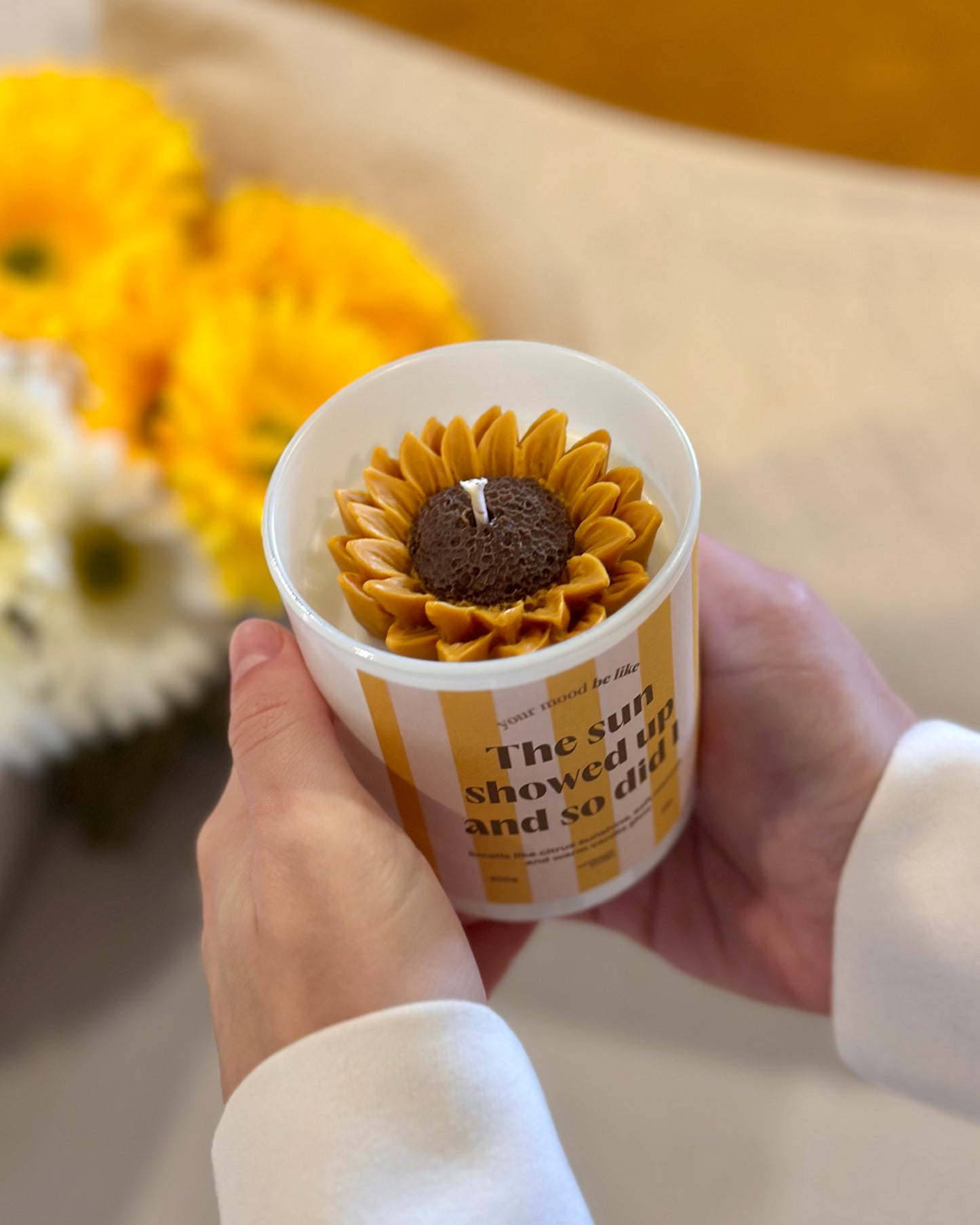 Vela "The sun showed up and so did I"