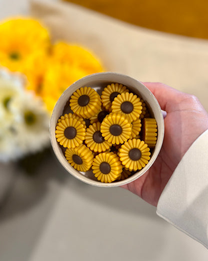 Wax Melts "The sun showed up and so did I"